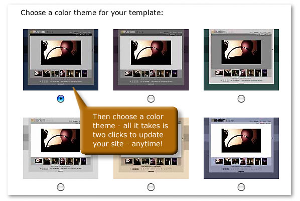Choose a Color Theme